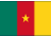 Cameroon country flag