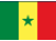 Senegal country flag